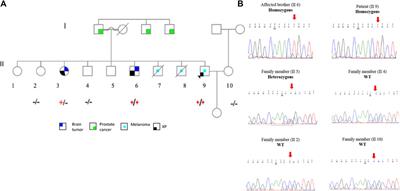 Genomic analysis of a Palestinian family with inherited cancer syndrome: a next-generation sequencing study